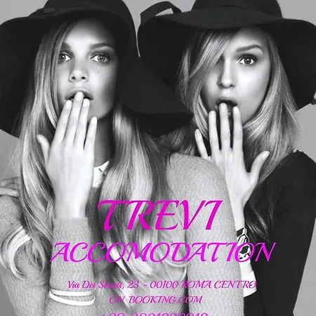 Διαμέρισμα Trevi Accomodation
